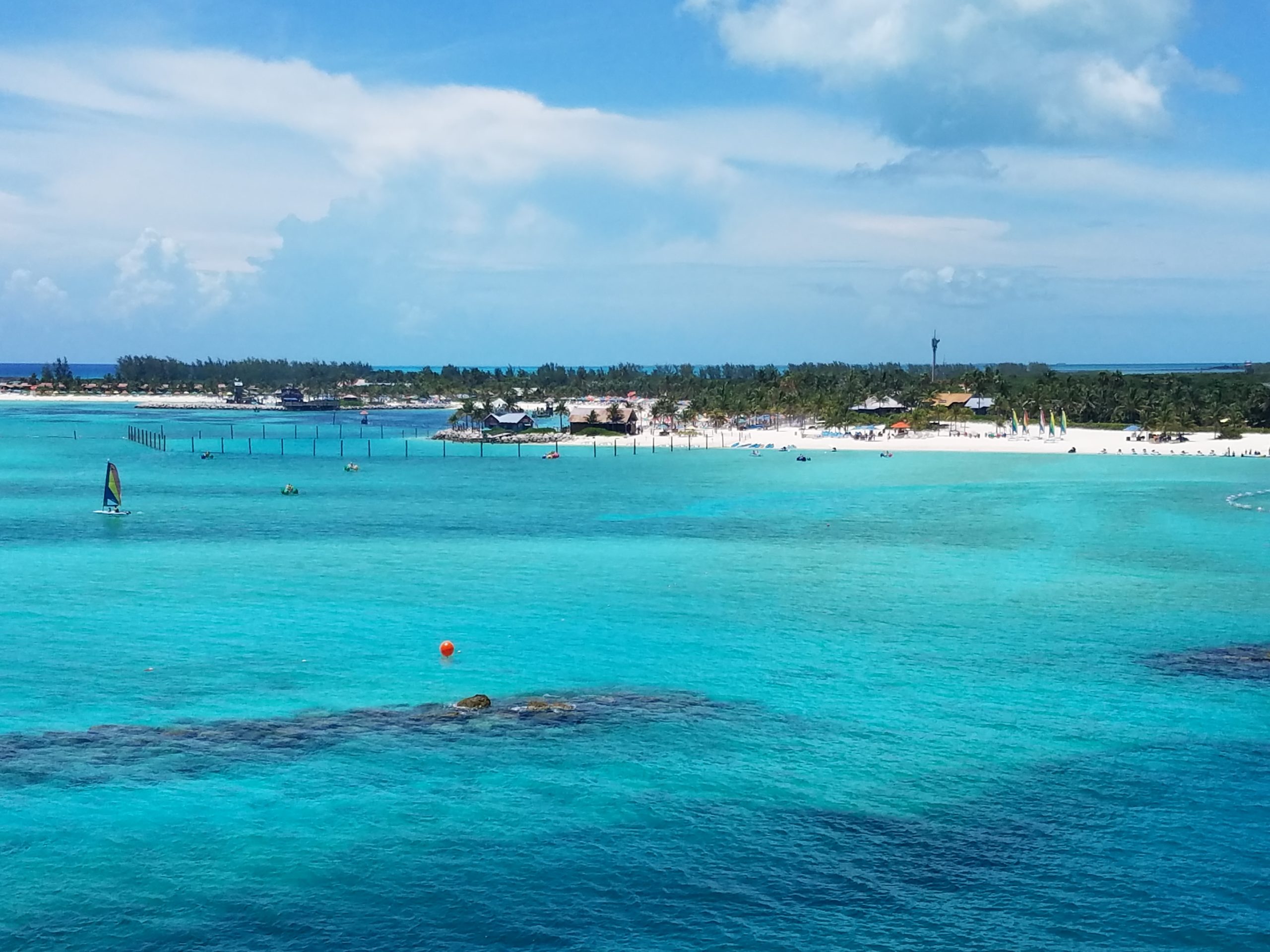 Swimming with the Stingrays - Castaway Cay - Me and the Mouse Travel