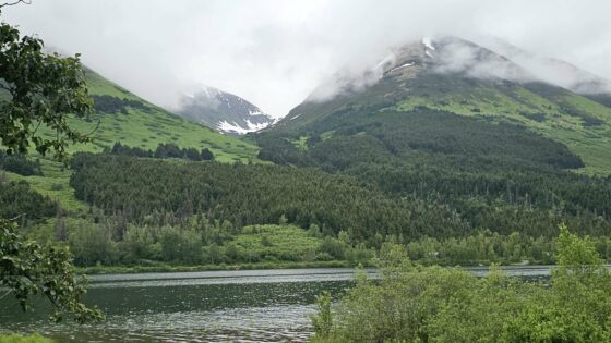 The Alaska Experience Most Cruisers Miss: How An 8-hour Transfer Became The Highlight Of Our Alaskan Vacation