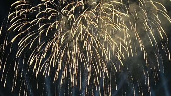 A Different Way to Experience Disney Fireworks: Disney Fireworks Cruises