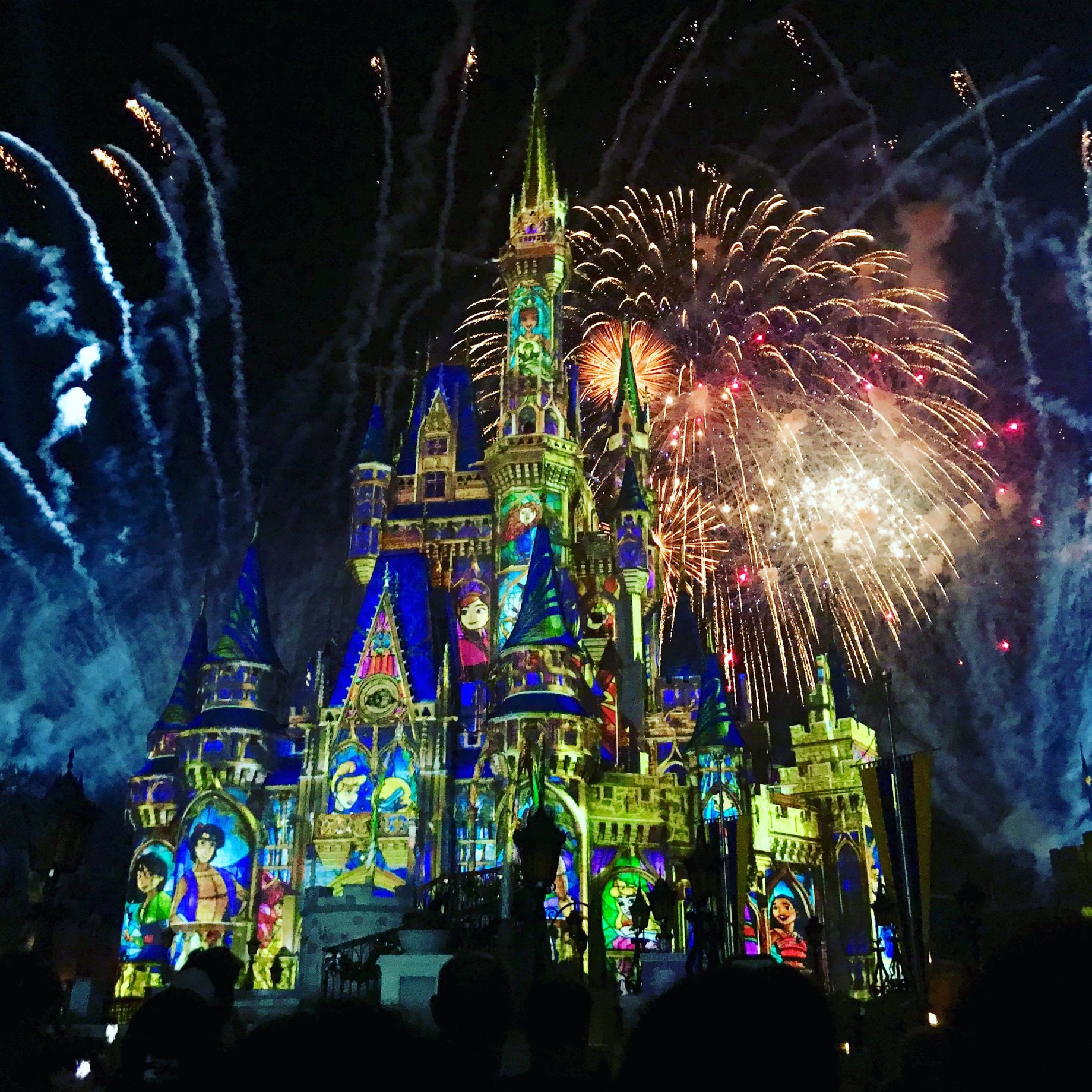Magic Kingdom Fireworks