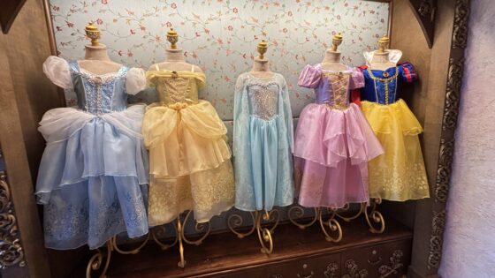 Disneyland’s Bibbidi Bobbidi Boutique!