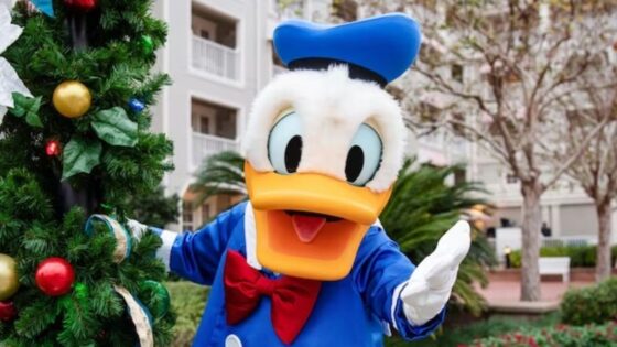 Save Up to 20% on Rooms This Holiday Season